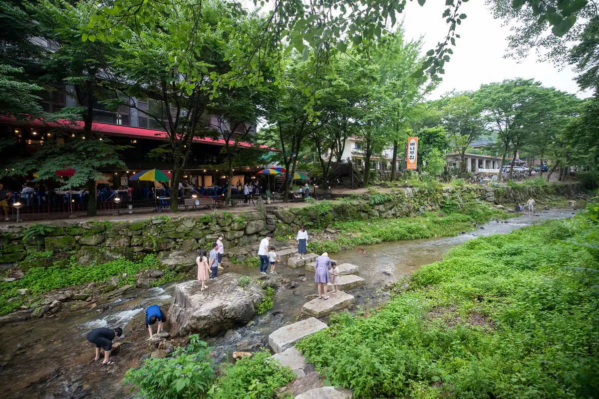 용인 고기리계곡의 징검다리를 건너는 아이들